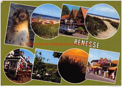 Renesse