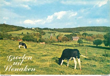 Netherlands Slenaken Limburg picturesque countryside area cows