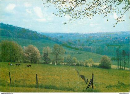 Netherlands Slenaken Limburg picturesque countryside area horses