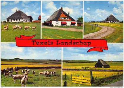 Landschap - Texel