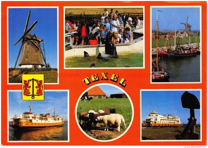 Texel