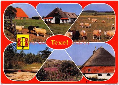 Texel