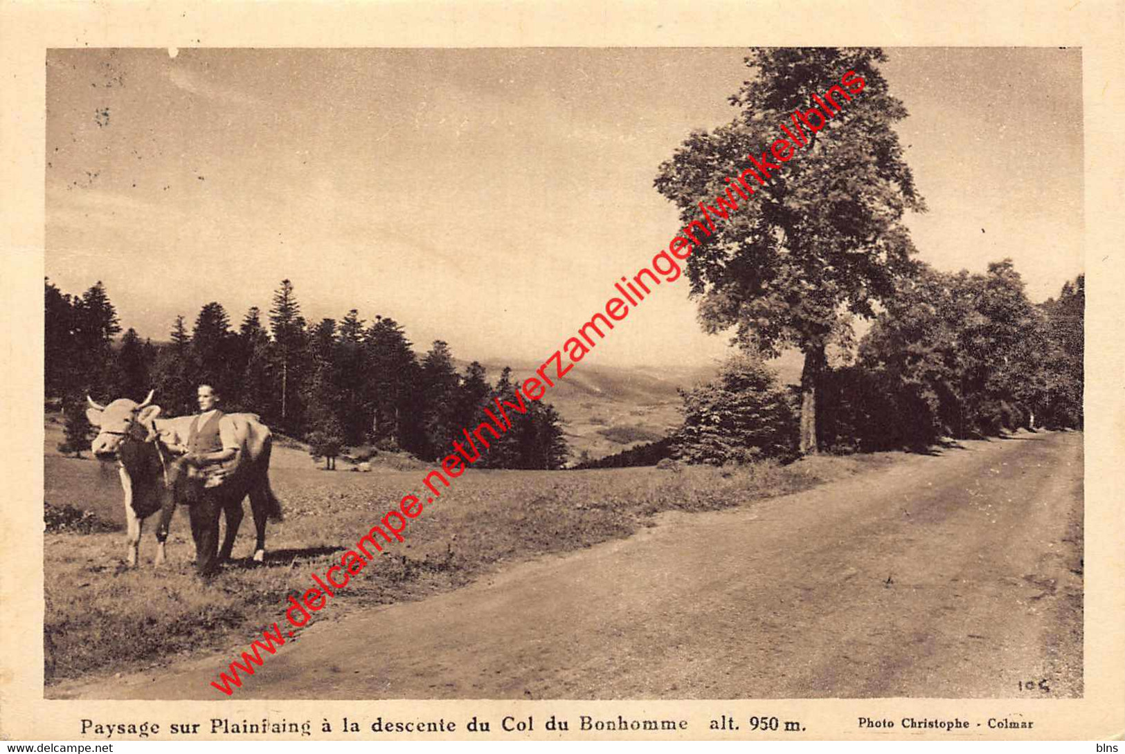 Paysage sur Plainfaing à la descente du Col du Bonhomme - Plainfaing - (88) Vosges