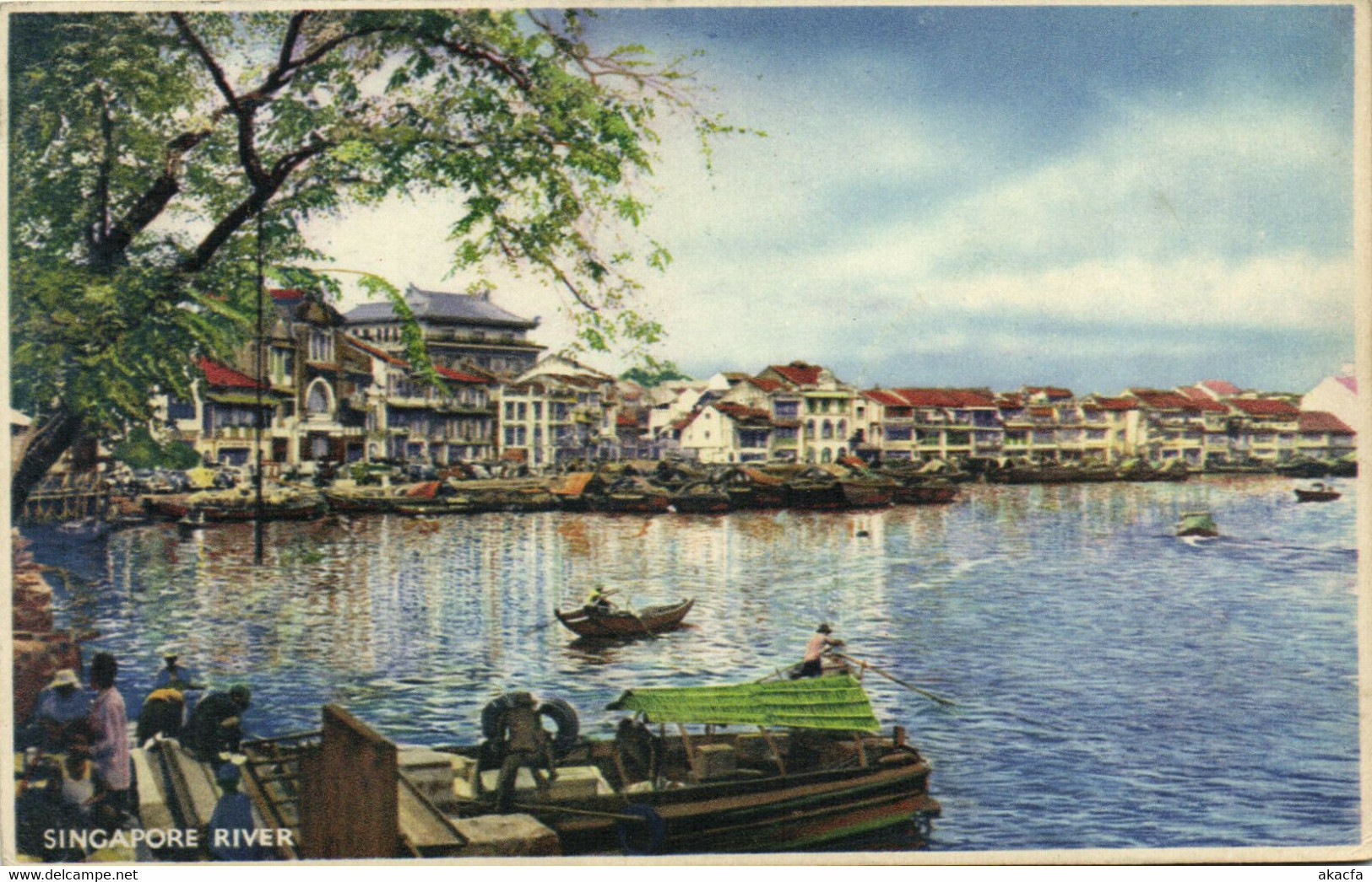 PC CPA SINGAPORE, SINGAPORE RIVER, Vintage Postcard (b18711)