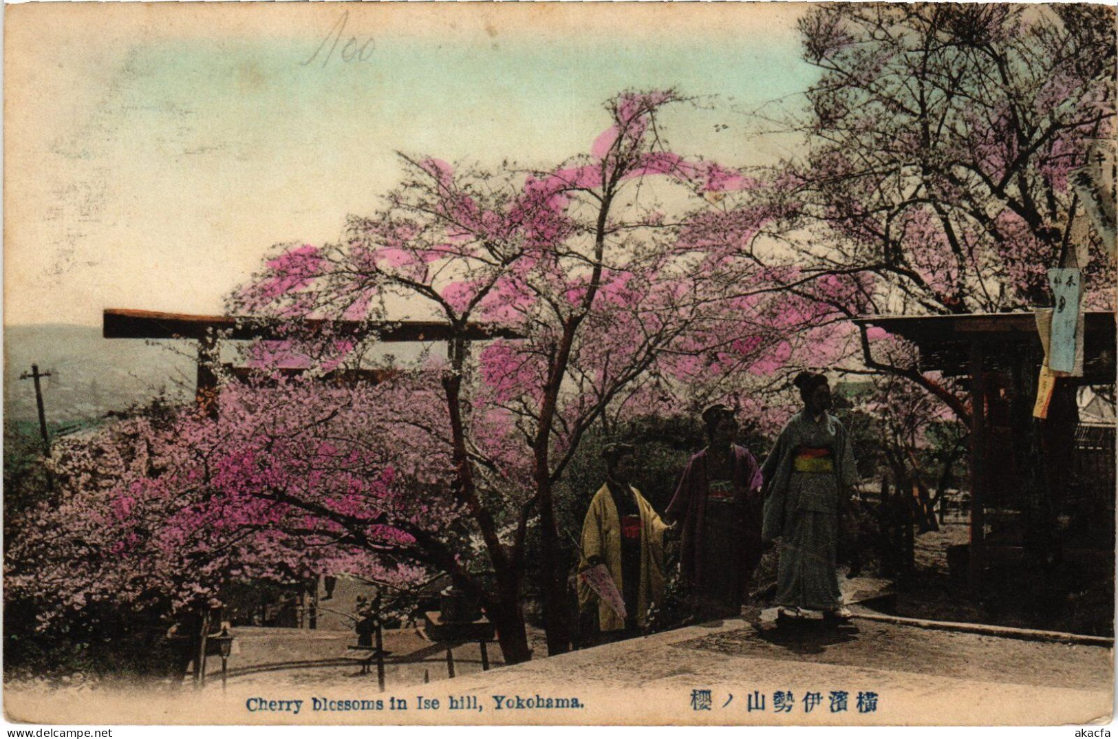 PC JAPAN YOKOHAMA CHERRY BLOSSOMS ISE HILL (a41382)