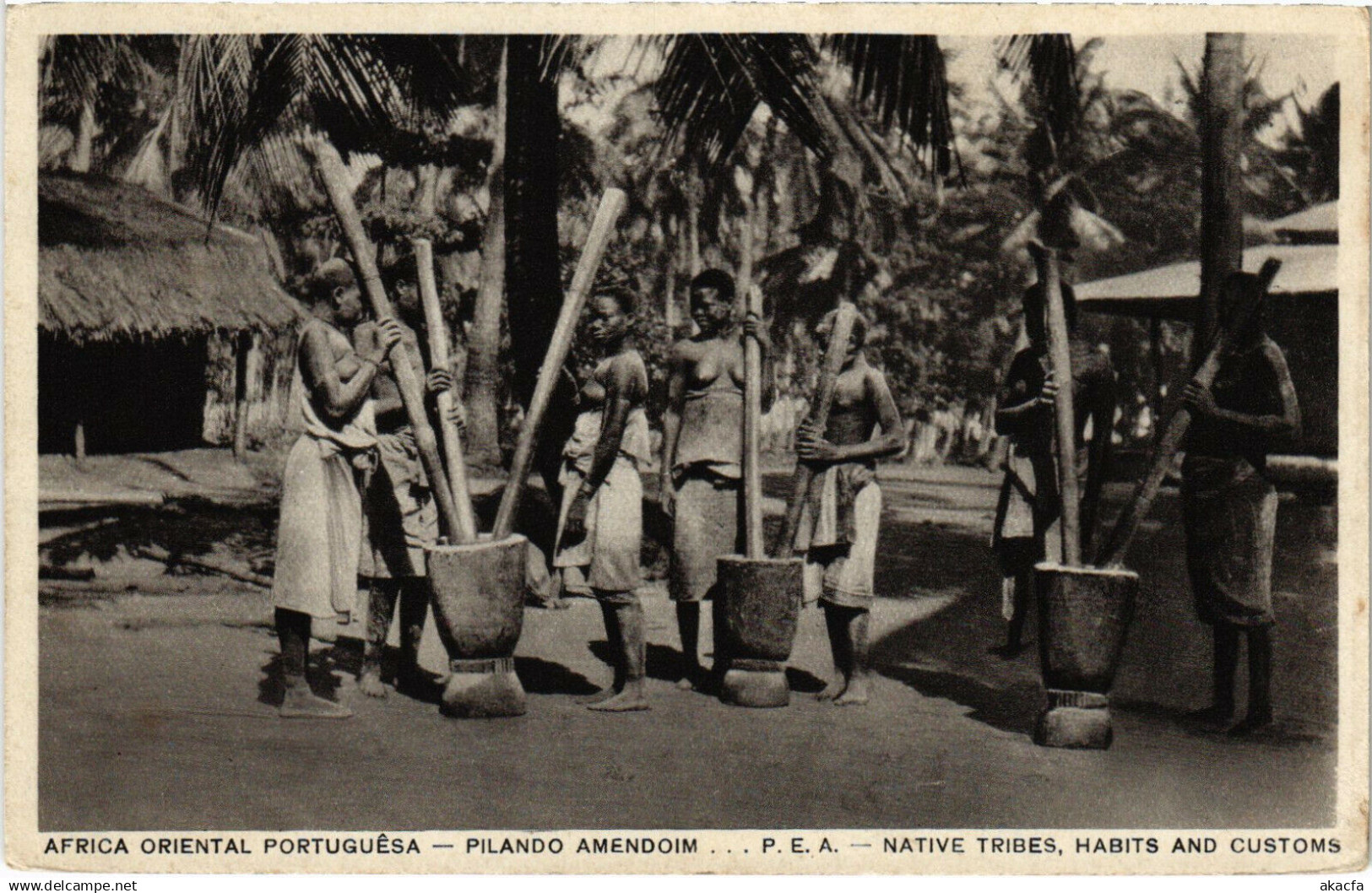 PC MOZAMBIQUE, PILANDO AMENDOIM, VINTAGE POSTCARD (b20831)