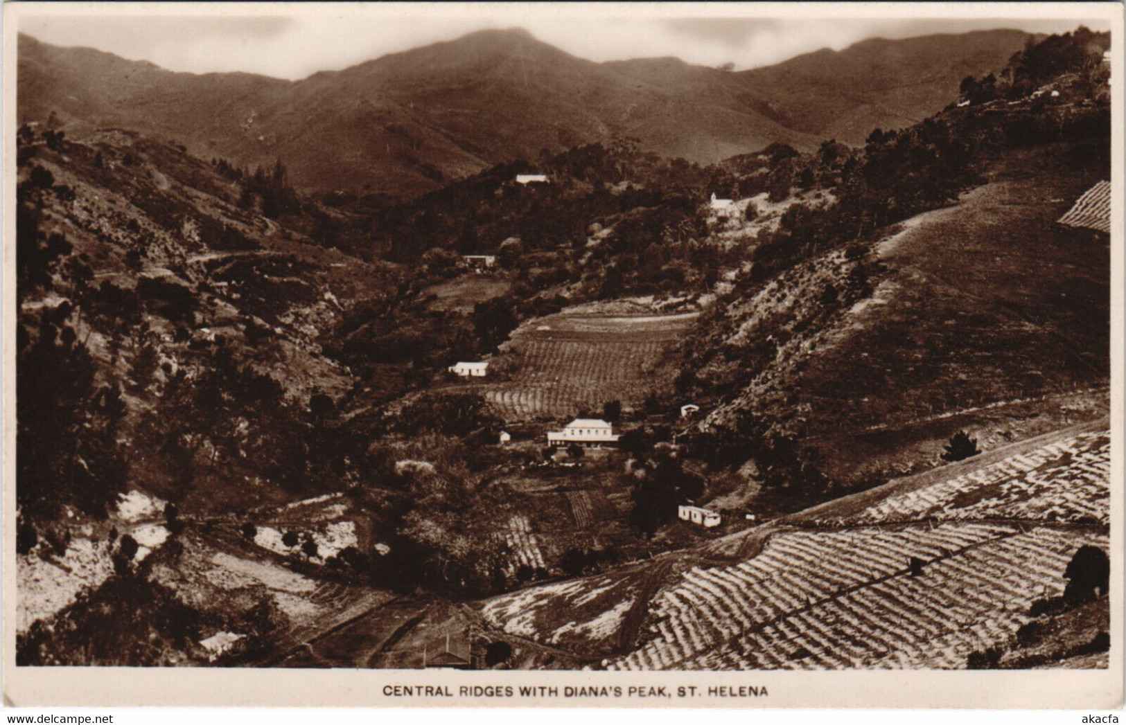 PC SAINT HELENA, DIANA'S PEAK, Vintage REAL PHOTO Postcard (b44192)