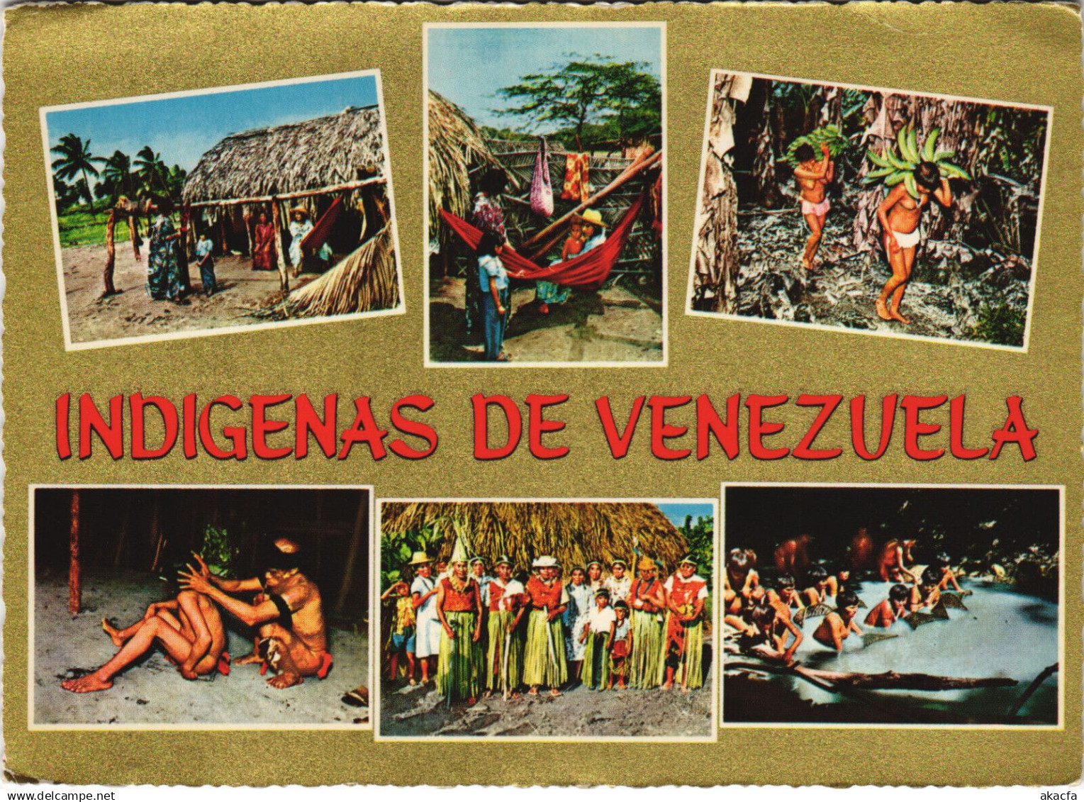 PC VENEZUELA, INDIGENAS DE VENEZUELA, Modern Postcard (b43631)