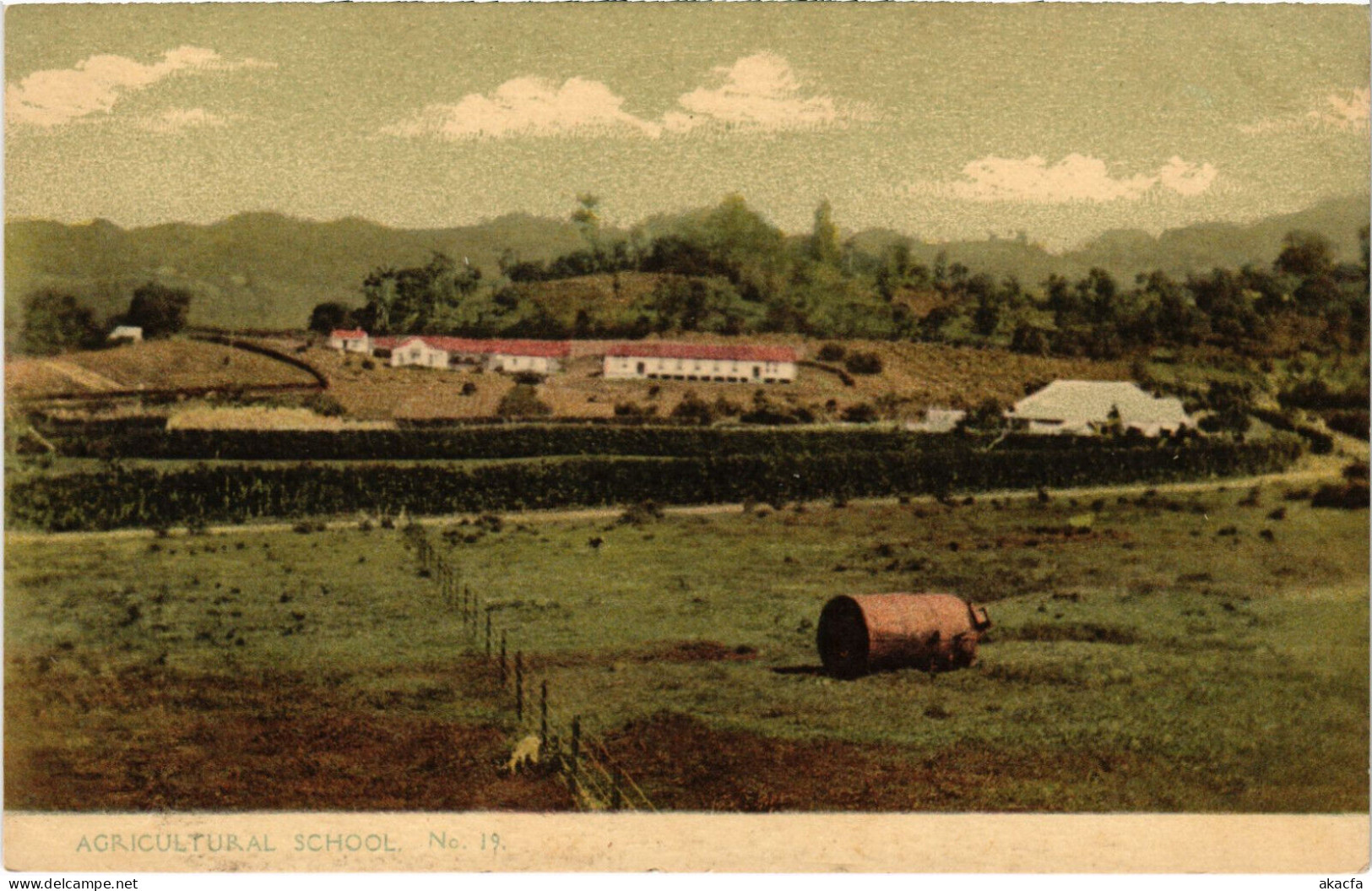 PC VIRGIN ISLANDS ST. VINCENT AGRICULTURAL SCHOOL Vintage Postcard (b52250)