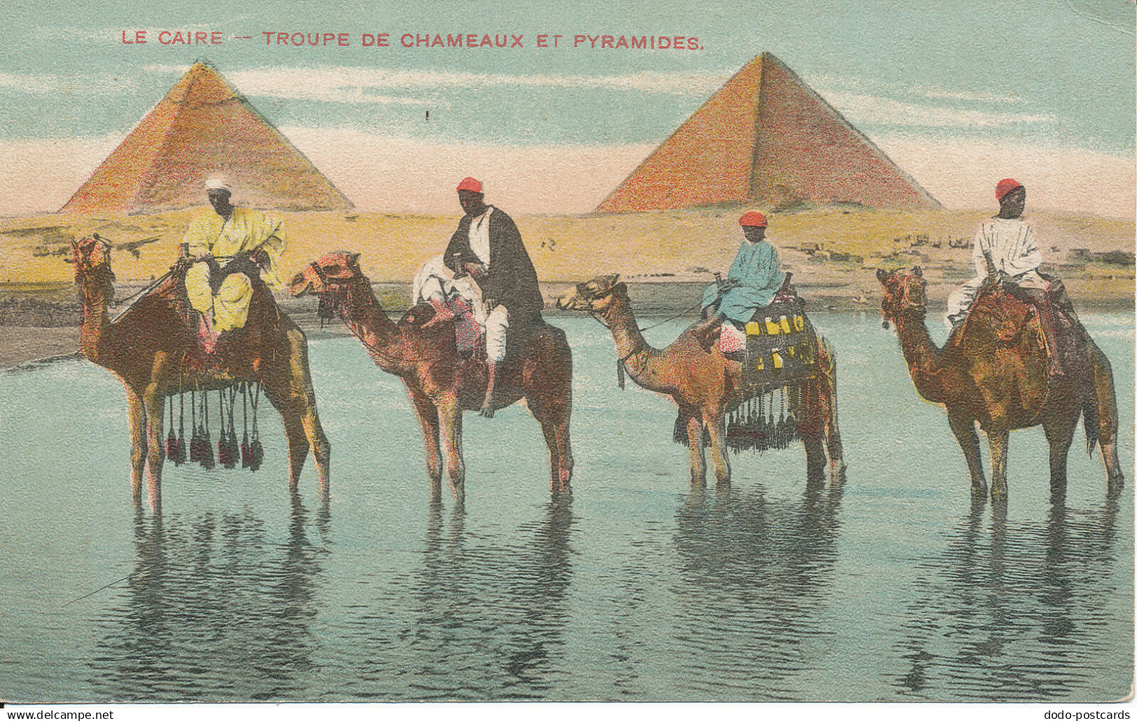 PC28357 Le Caire. Troupe de Chameaux et Pyramides