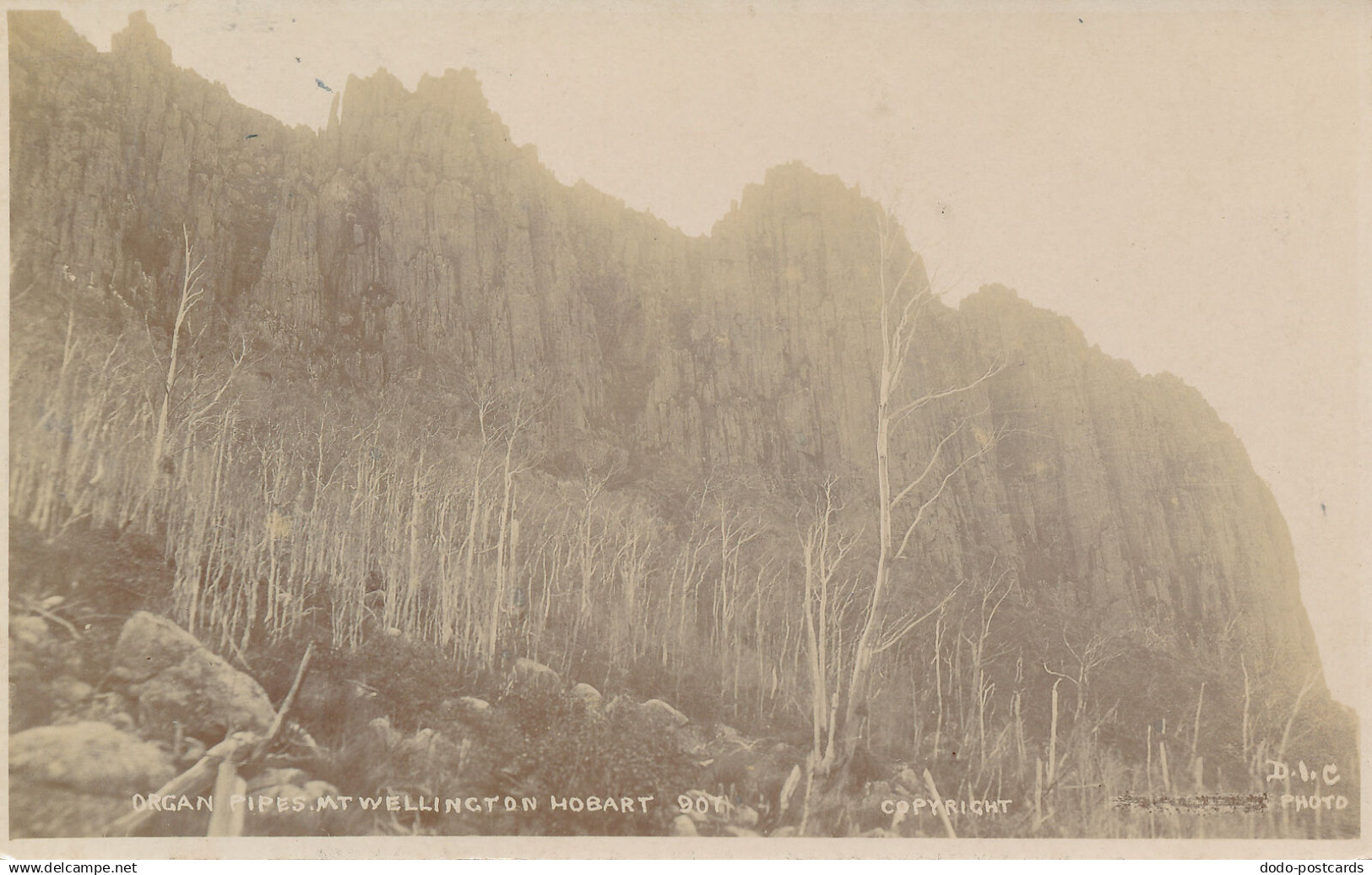 PC49690 Organ Pipes. Mt wellington Hobart. D. I. C. B. Hopkins