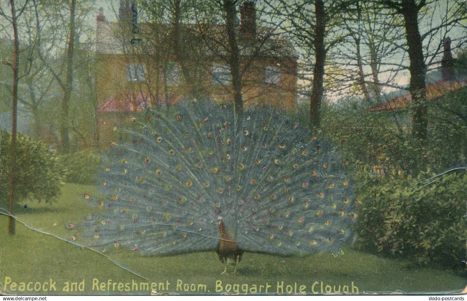 PC61253 Peacock and Refreshment Room. Boggart Hole Clough. Ogden