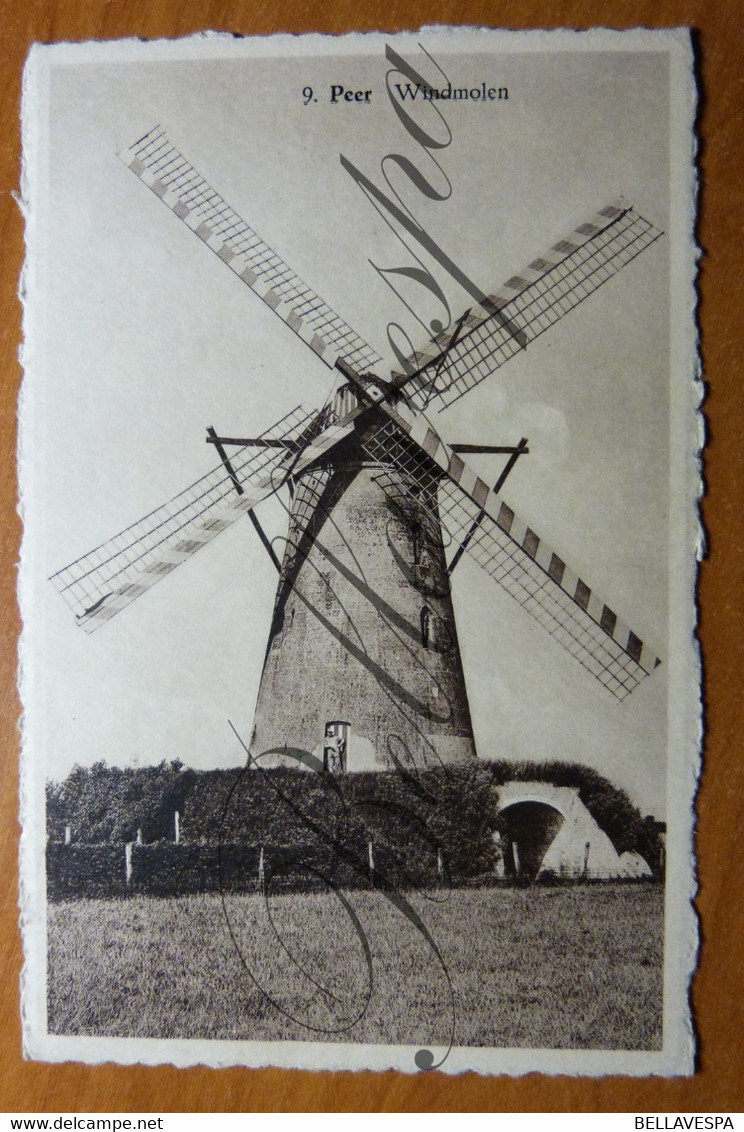 Peer Moulin. Molen Windmolen. n°9