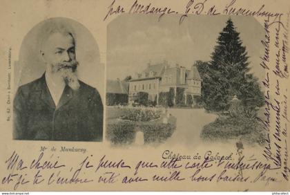 Chateau de Colpach (Luxembourg) Mr. de Munkacsy 1901 Bahn Stempel