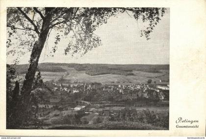 luxemburg, PETINGEN PÉTANGE, Gesamtansicht (1920s) Postcard