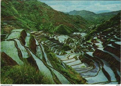 PC PHILIPPINES, THE RICE TERRACES OF THE PHILIPPINES, Modern Postcard (B40283)