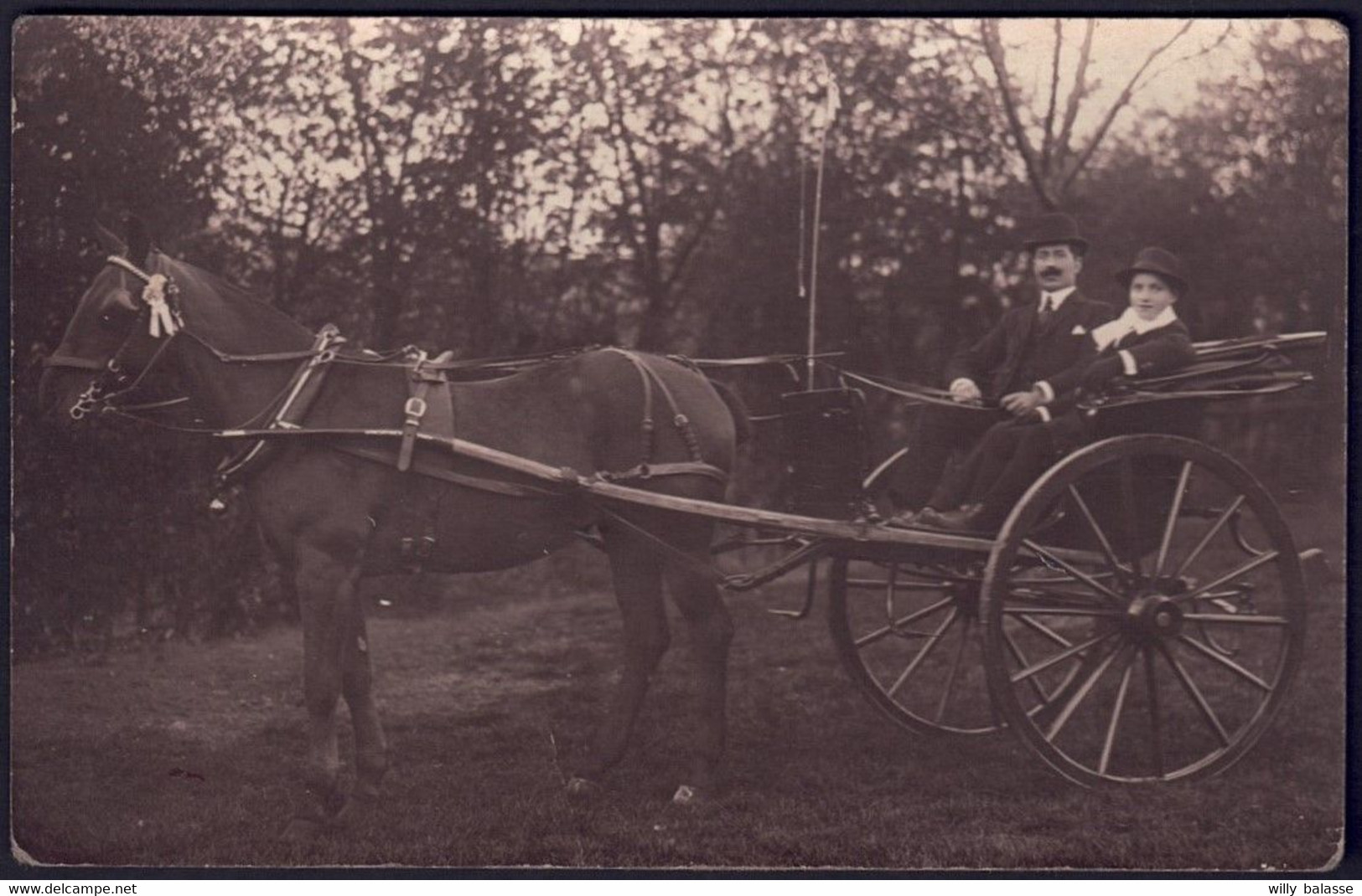 +++ Photo Carte - Phot. Blanvalet de FLERON - Attelage cheval   //