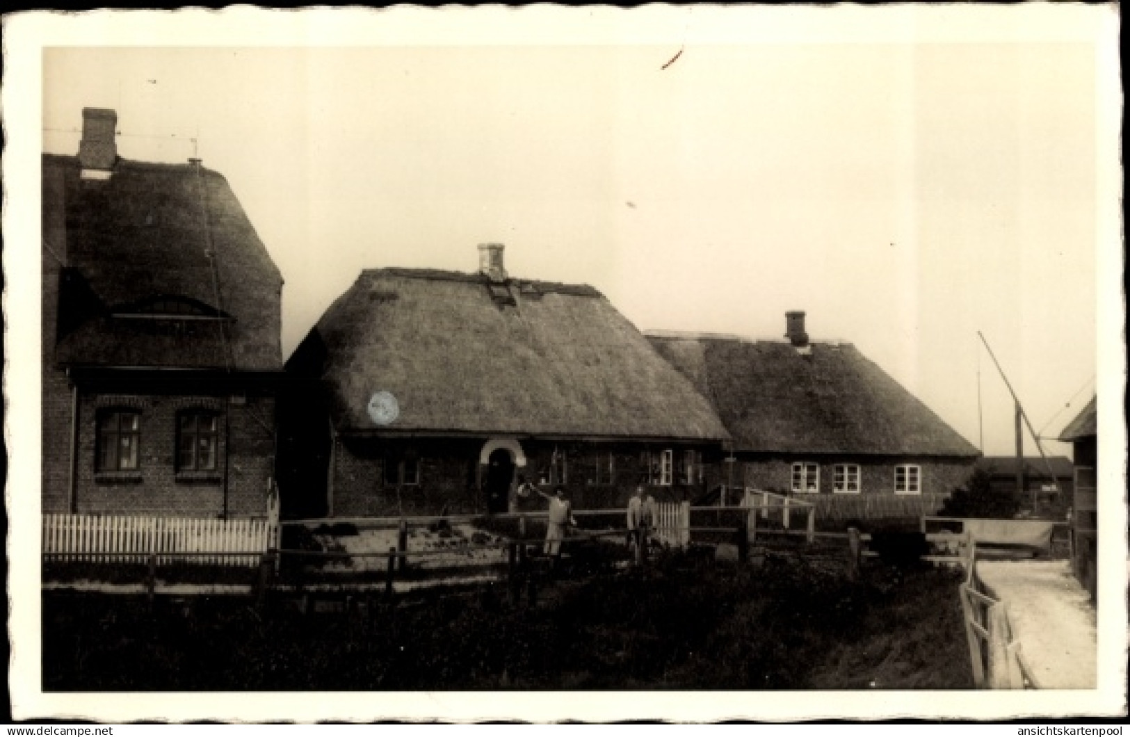 Photo CPA Halligen Hallig Langeneß an der Nordsee, Dorfpartie