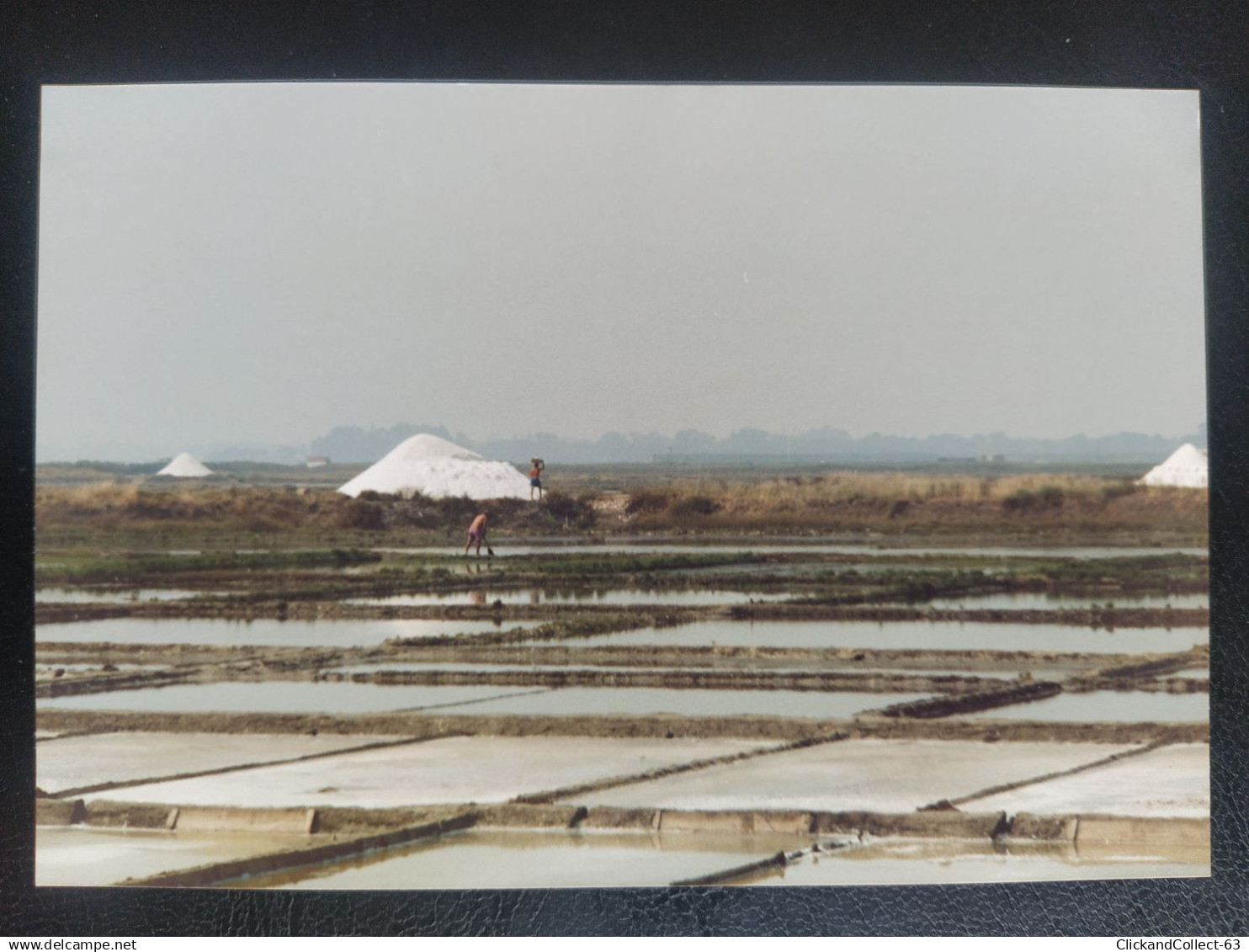 Photo Portugal Aveiro marais salants