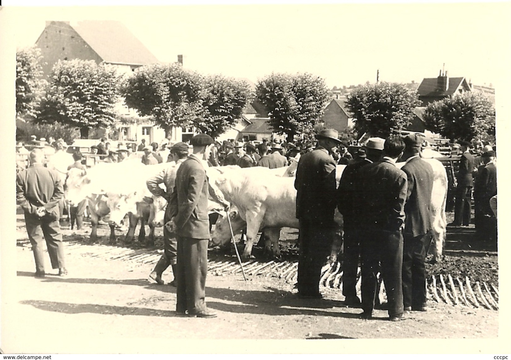 Photographie - Foire aux Boeufs de Corbigny