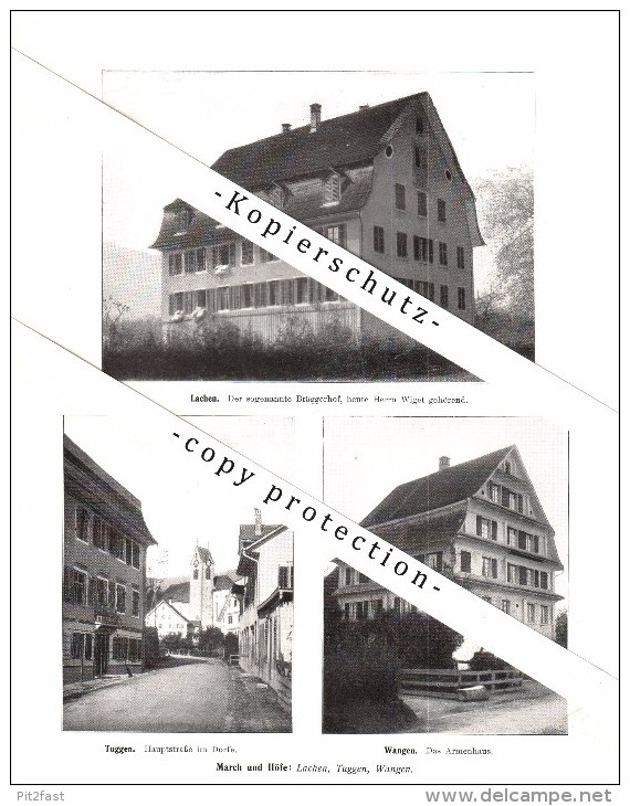 Photographien / Ansichten , 1914 , Galgenen , Pfäffikon , Lachen , Tuggen , Wangen , Prospekt , Architektur , Fotos !!!