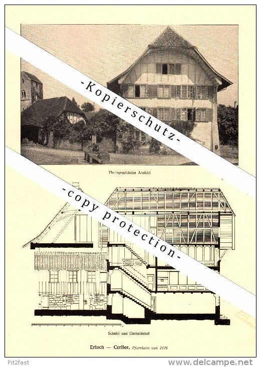 Photographien / Ansichten ,1917, Erlach - Cerlier , Prospekt , Fotos , Architektur !!!