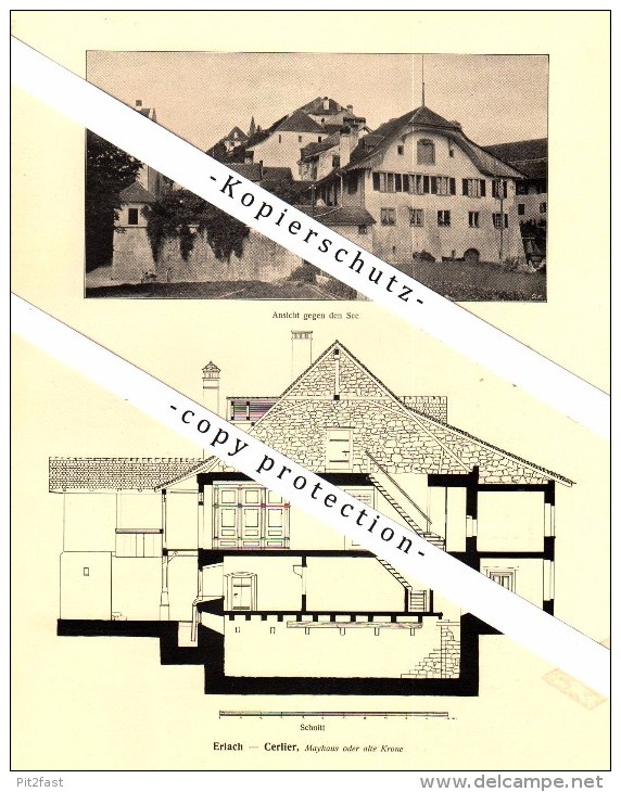 Photographien / Ansichten , 1917 , Erlach - Cerlier , Prospekt , Fotos , Architektur !!!