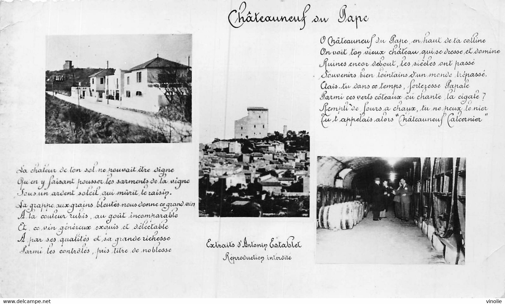 PIE-FL-21-7405 : CHATEAUNEUF-DU-PAPE