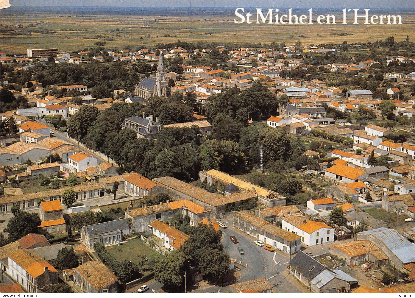 PIE-Z To-19-2540 : SAINT MICHEL EN L'HERM. VUE AERIENNE.