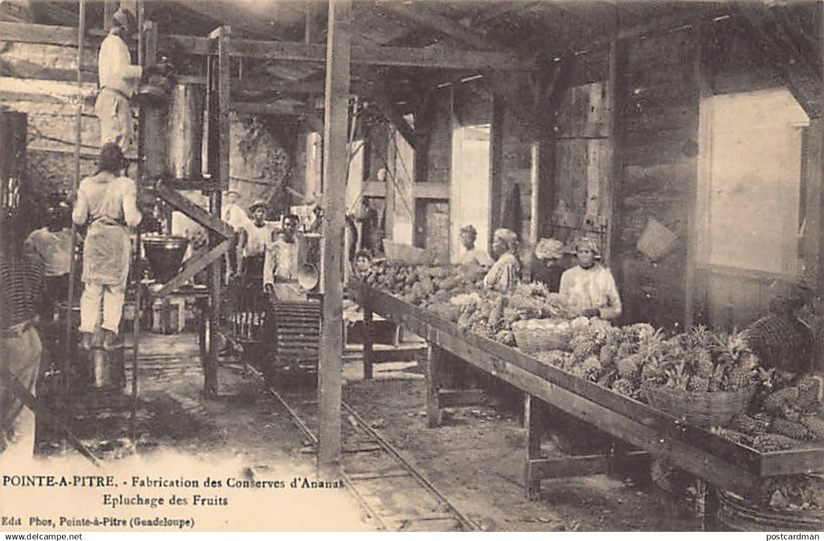 POINTE A PITRE - Fabrication des conserves d'Ananas, épluchage des fruits - Ed. Phos.