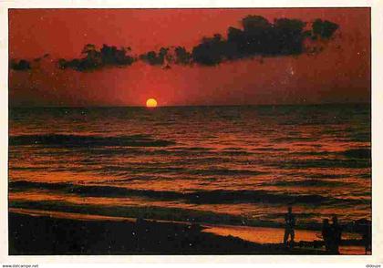 Pologne - Cocuher de Soleil - Voir Timbre de Pologne - CPM - Voir Scans Recto-Verso