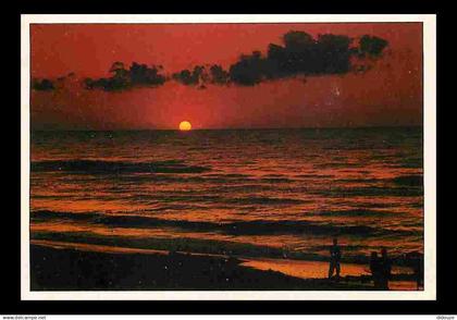 Pologne - Cocuher de Soleil - Voir Timbre de Pologne - CPM - Voir Scans Recto-Verso