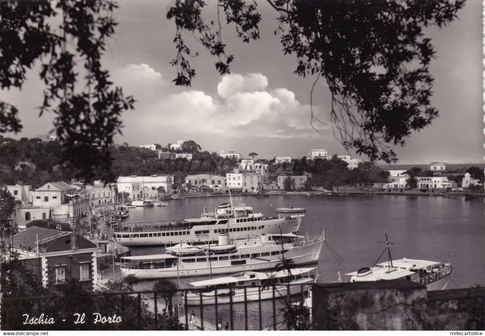 PORTO D'ISCHIA - Il Porto 1960