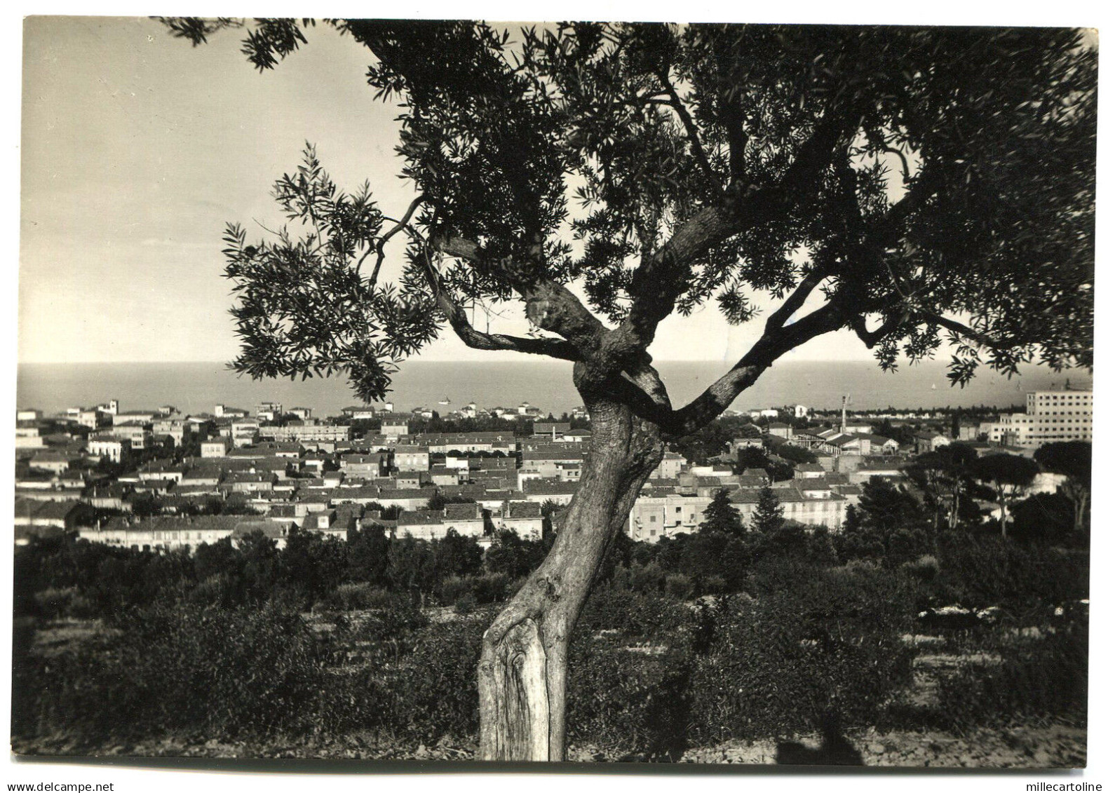 PORTO SAN GIORGIO (FERMO), PANORAMA, 1953