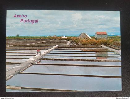 CPA carte postale Portugal Aveiro marais salants