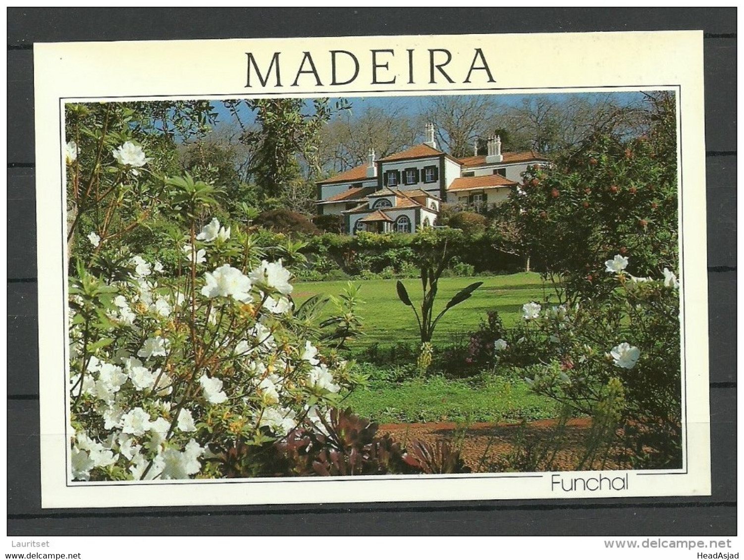 Portugal Madeira Post card Funchal