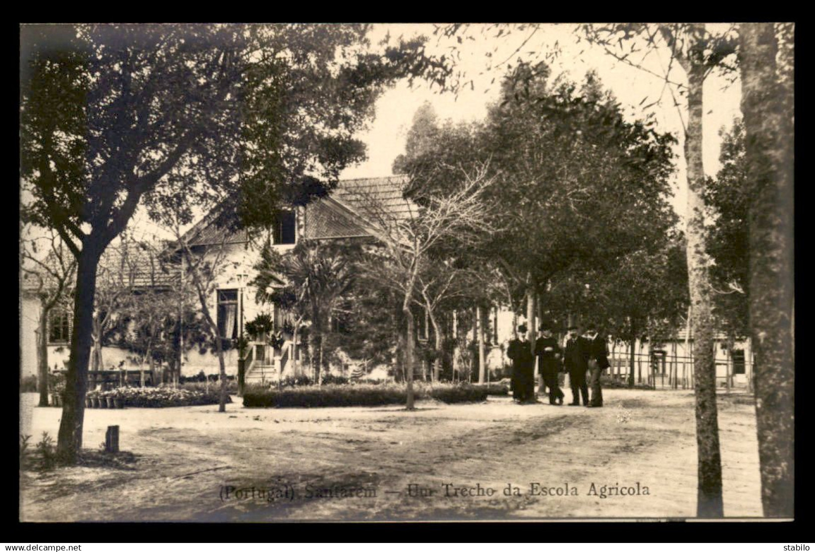 PORTUGAL - SANTAREM - UM TRECHO DA ESCOLA AGRICOLA