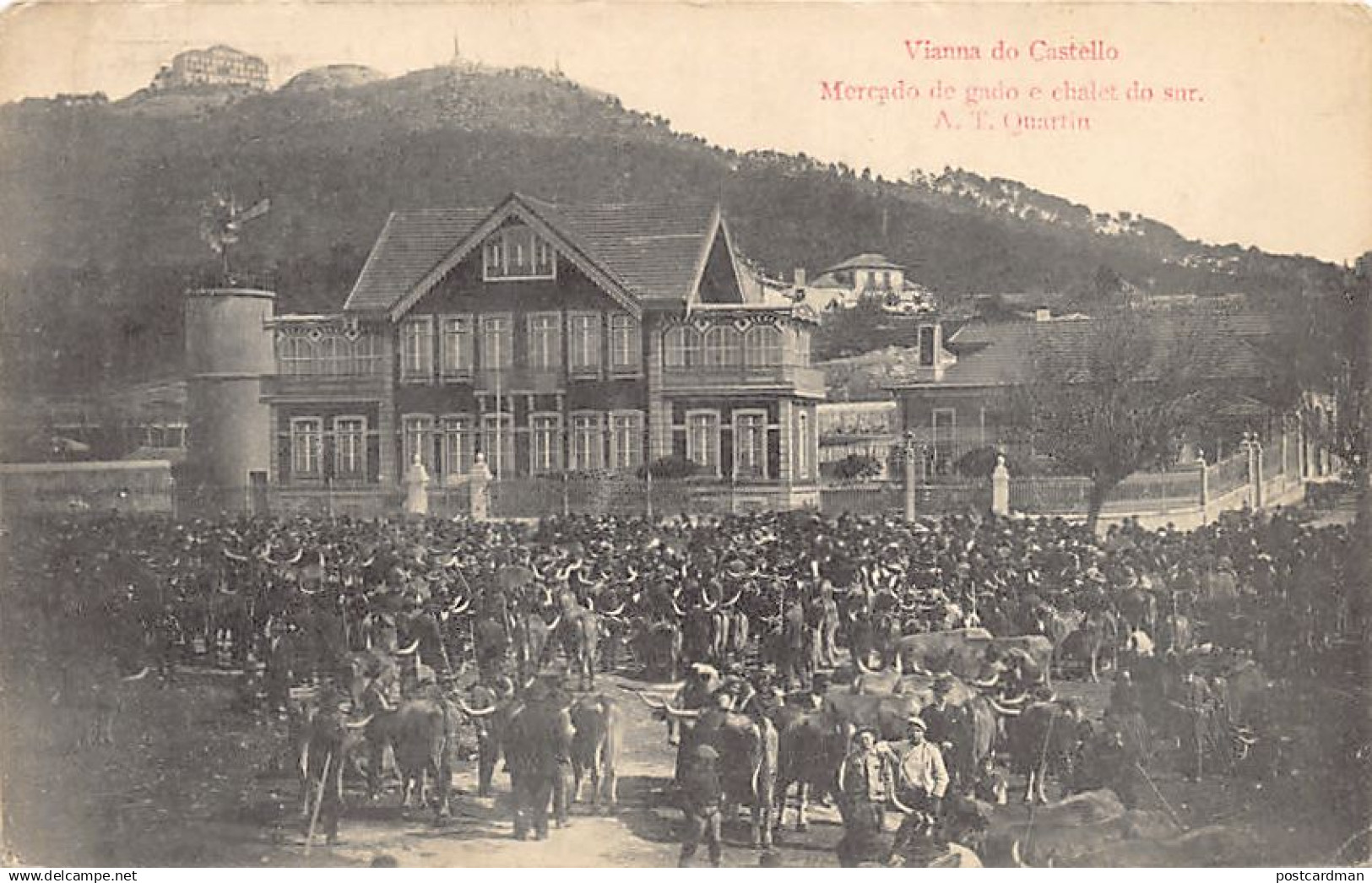 Portugal - VIANA DO CASTELO - Mercado de gado e chalet do sur - Ed. A. T. Quartin