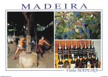 73970258 FUNCHAL Madeira PT Vinho Madeira Weinpresse Reben Weinregal