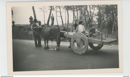 PORTUGAL - CASTELO BRANCO - Vue d'une charrette portugaise datée de 1949 - Photo format 11,5x7 cm