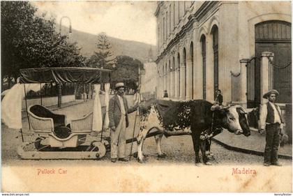 Madeira - Pullock Car