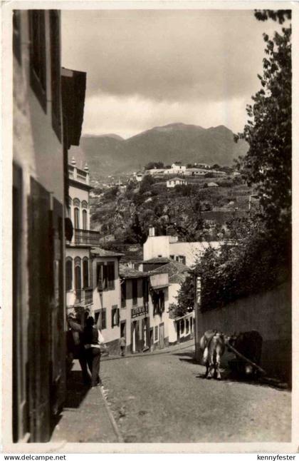 MAdeira - Strasse in Funchal