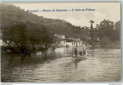 13952707 - Santarem