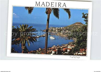 72527560 Madeira Funchal Madeira