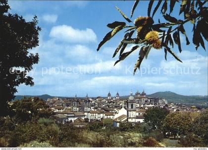 72429833 Viseu Panorama