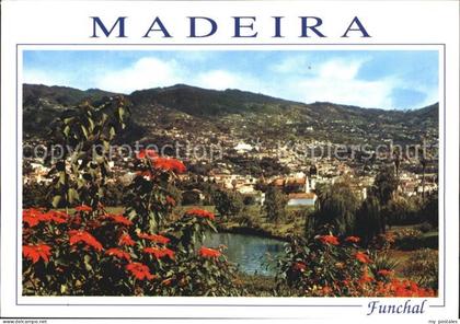 72435679 Madeira Funchal Madeira