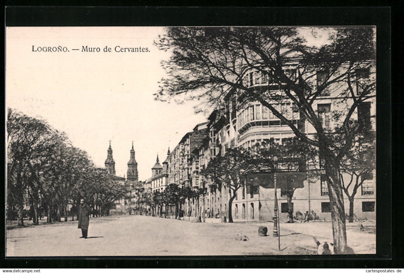 Postal Logrono, Muro de Cervantes