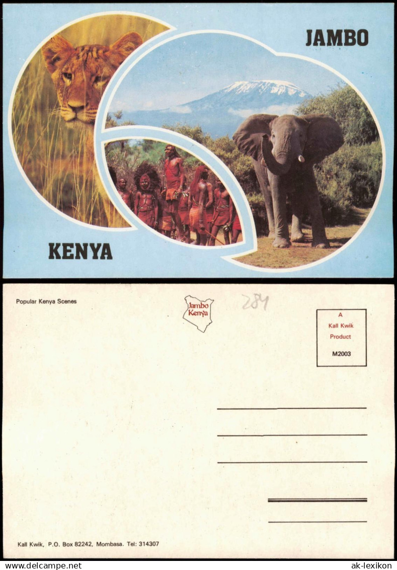 Postcard _Allgemein MB Kenia Kenya Löwe, Elefant - Jambo 1980