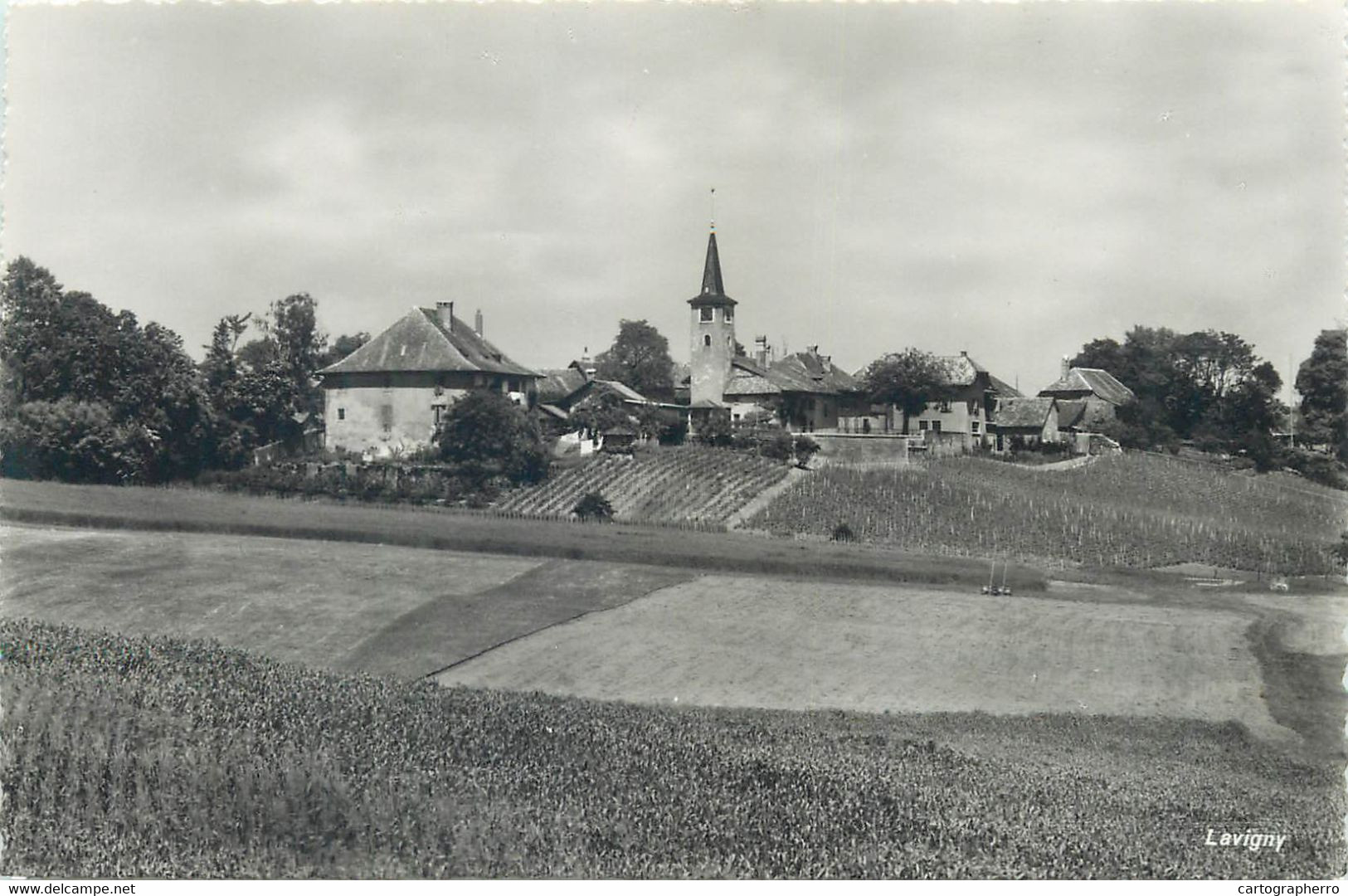 Postcard Switzerland Lavigny rural scene