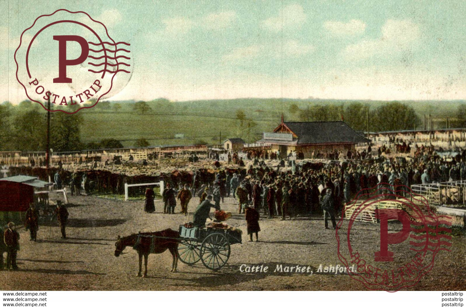 Postcard - The Cattle Market Ashford Kent   Marché - Mercado - Market - Mercati - Mercadillo